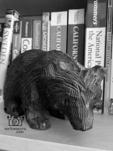 A Yosemite bear came home with me. She lives with my travel books.