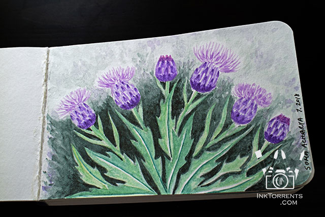 Scottish Thistle watercolor painting in sketchbook by Soma Acharya InkTorrents Graphics @ InkTorrents.com