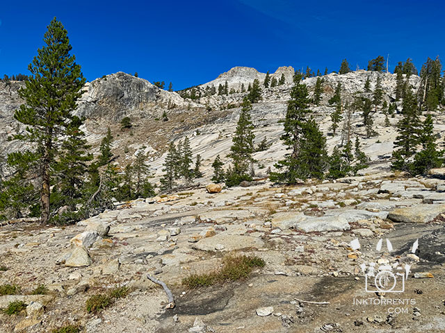 May Lake Tioga Pass Yosemite National Park photo by Soma Acharya @ inktorrents.com