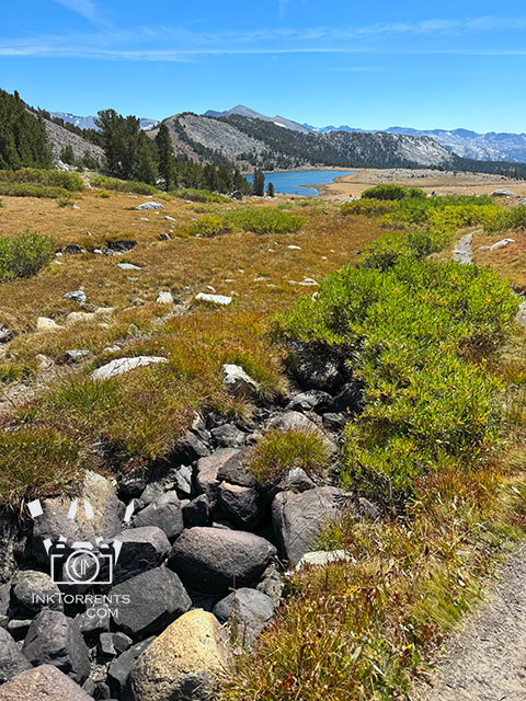 Gaylor Lake Basin Tioga Pass Yosemite National Park photo by Soma Acharya @ inktorrents.com