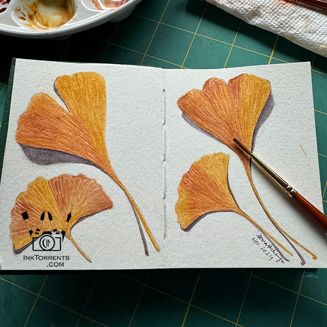 Ginkgo Leave Watercolor painting @ InkTorrents by Soma Acharya, Ink Torrents Graphics, inktorrents.com