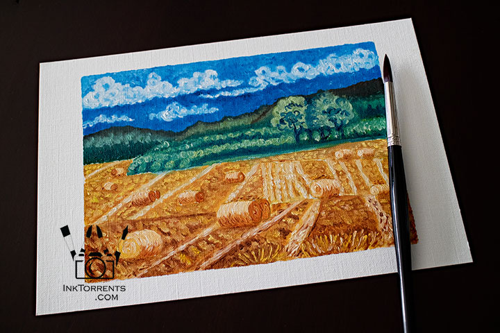 Hay Bales Of Aberdeenshire