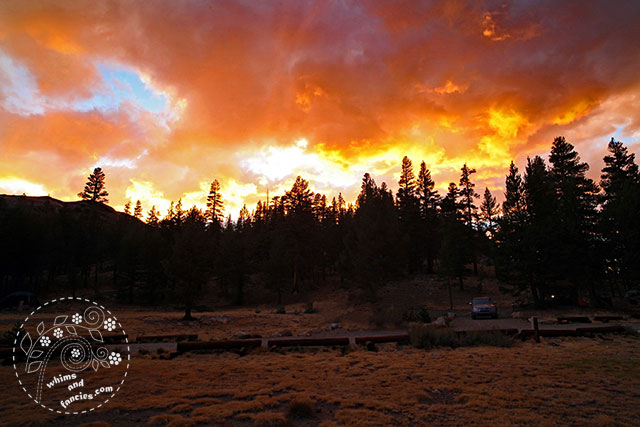 Wandering Camera – Clearing Storm