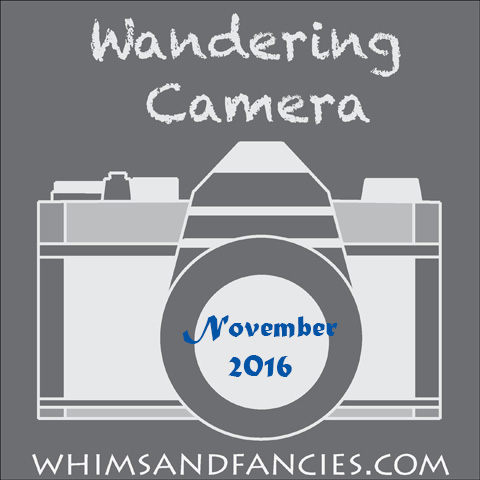 Wandering Camera – November Linky Party