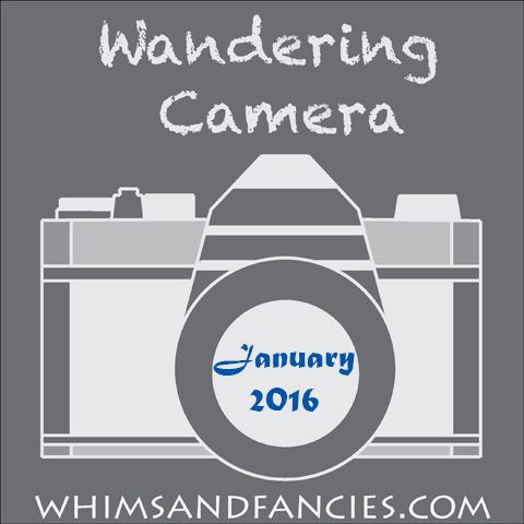 Wandering Camera – January Linky Party